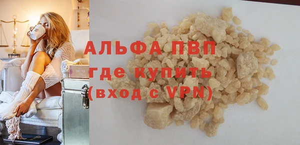 винт Пересвет